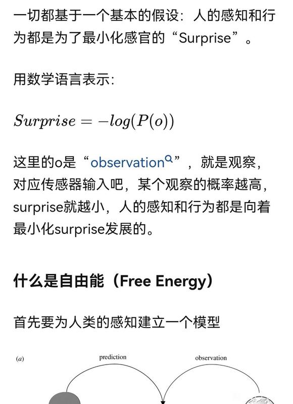 Karl Friston 的自由能详解-1.jpg